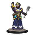 WizKids Wardlings RPG Figures Girl Cleric & Winged Cat - WZK73313