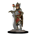 WizKids Wardlings RPG Figures Girl Fighter & Hunting Falcon - WZK73315