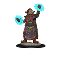 WizKids Wardlings RPG Figures Boy Wizard & Imp - WZK73318