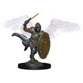 WizKids D&D Premium Painted Figures Aasimar Male Paladin - WZK93007