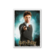 Dragon Shield AT-16020 Sleeves (100) Harry Potter Hermione (9003900141805)