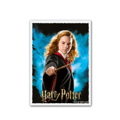 Dragon Shield AT-16021 Sleeves (100) Harry Potter Ron (9003900174573)