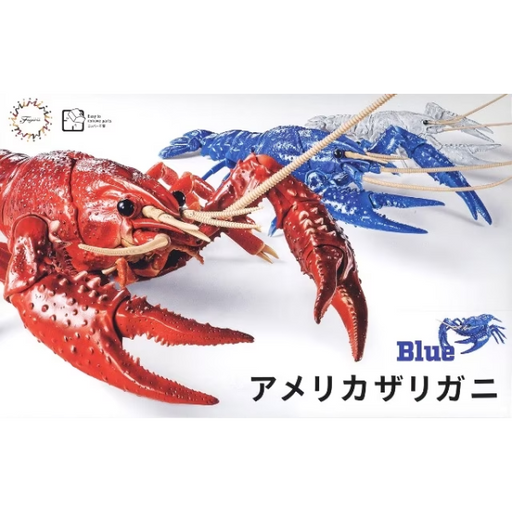 Fujimi 170879 Biology: Crayfish - Procambarus clarkii (Blue) (8134371803373)