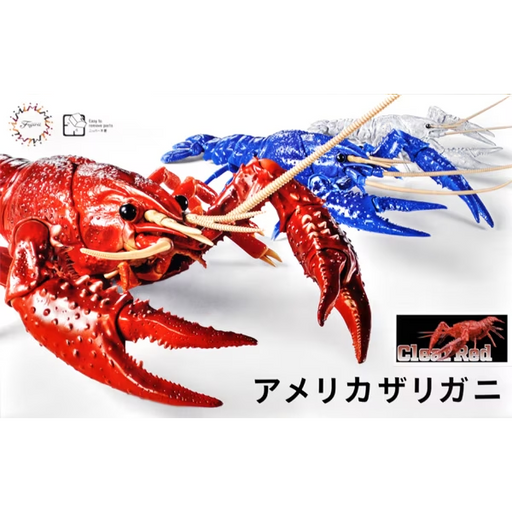 Fujimi 171050 Biology: Crayfish - Procambarus clarkii (Clear Red) (7603119259885)
