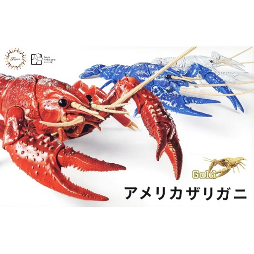 Fujimi 171081 Biology: Crayfish - Procambarus clarkii (Gold) (7603119292653)