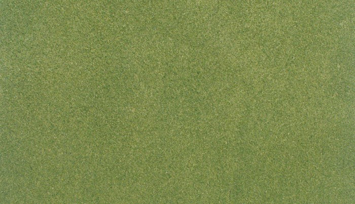 Woodland Scenics RG5171 25" x 33" Grass Mat Spring - Hobby City NZ (6651478736945)