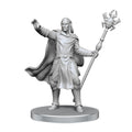 WizKids D&D Nolzur's Marvelous Miniatures: Drow Mage & Yochlol - WZK90858