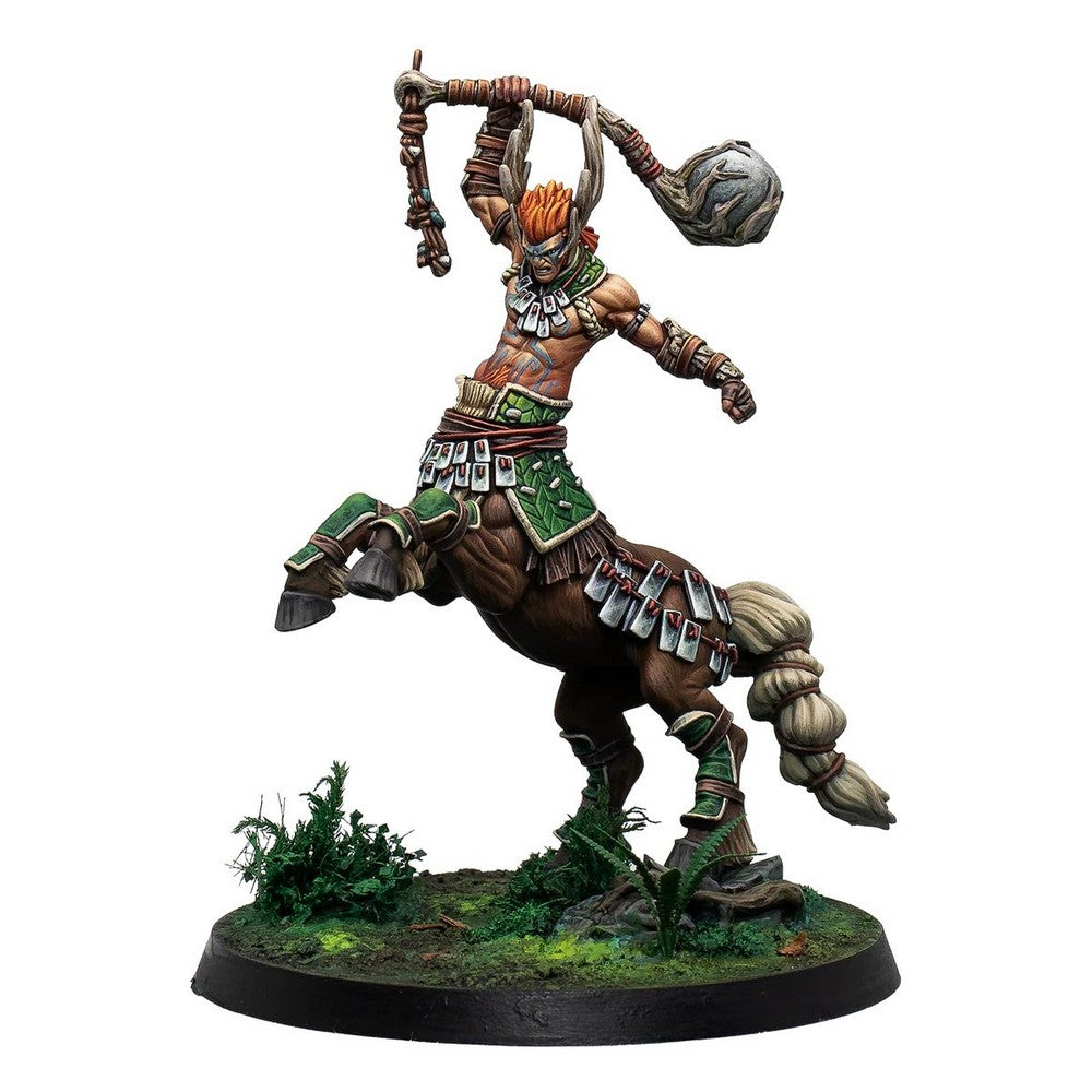 Corvus Belli Warcrow Senann Eachann the Great Centaurelf Figure (2)