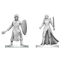 WizKids D&D Nolzur's Marvelous Miniatures: Black Gauntlet & Zhentilar Paladin of Bane - WZK90892