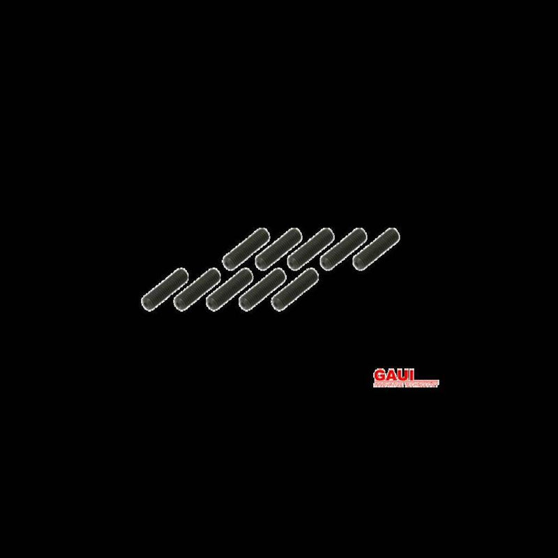 xzGaui 842028 SOCKET SET SCREW (M3X12)X10