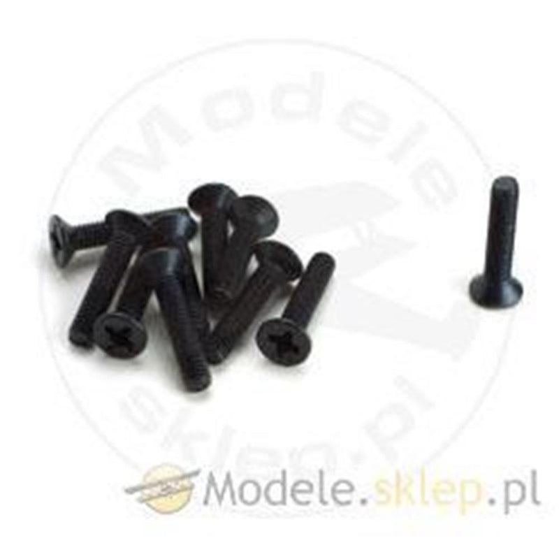 zGS Racing GS-620028 M3X14 FH SCREW(10)