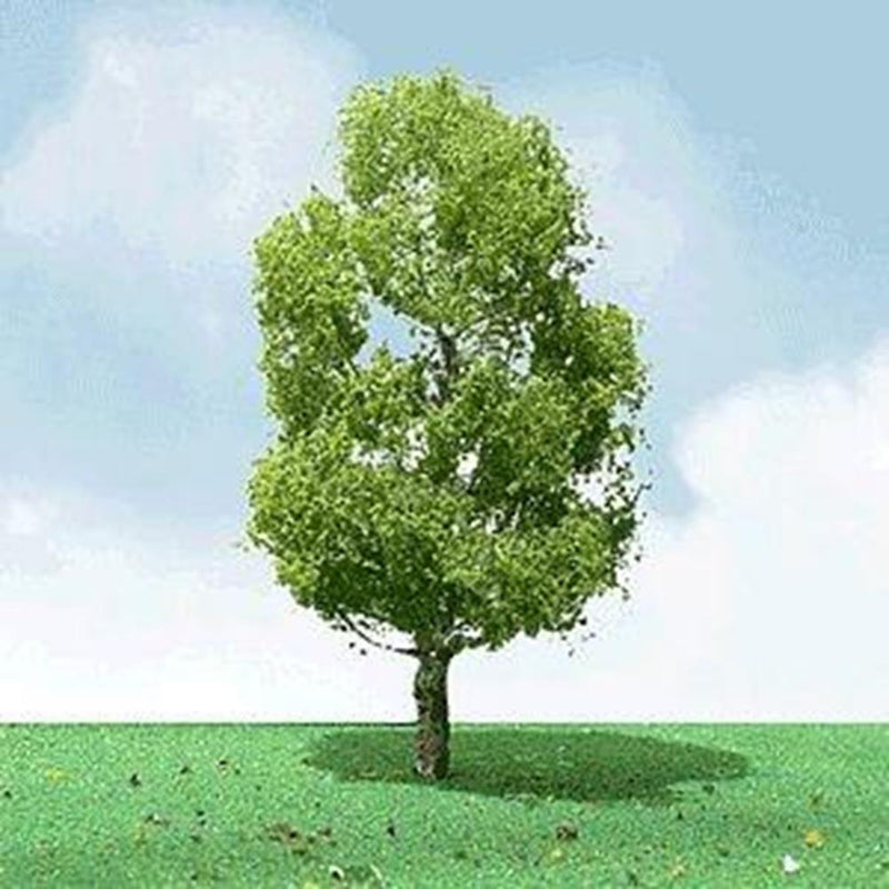 xJTT Scenery 92209 50-55mm Birch (3) - Hobby City NZ (7537659216109)