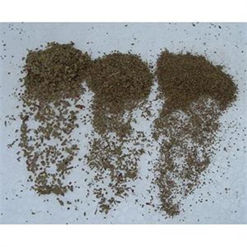 xJTT Scenery 92224 44-51mm Snow Gum (3) - Hobby City NZ (7537659314413)