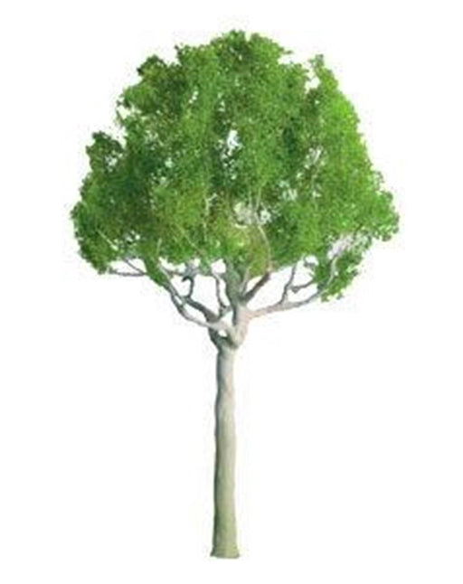 xJTT Scenery 94252 75mm Round Head (2) - Hobby City NZ (7537663017197)