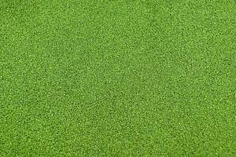JTT Scenery 95402 Grass Mat: 2500x1250mm LghtGrn - Hobby City NZ (7537666687213)