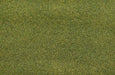 JTT Scenery 95407 Grass Mat: 1250x850mm MossGrn (8150701080813)