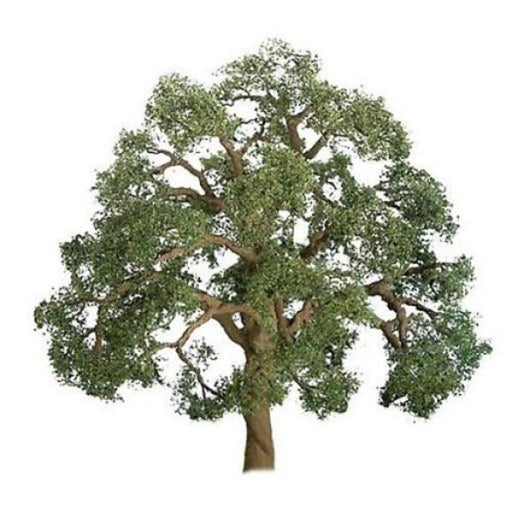 cJTT Scenery 96043 Professional Series: 5" (12.7mm) Live Oak Tree (1pk) (8324606918893)
