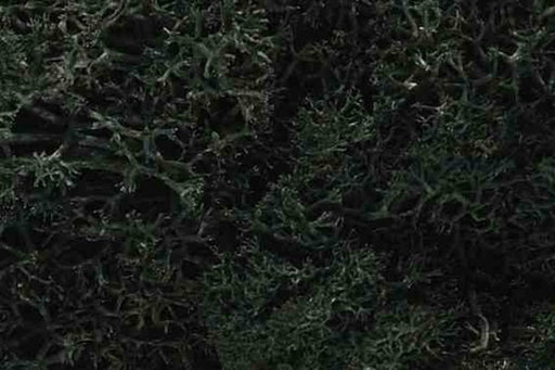 Woodland Scenics L164 LICHEN DARK GREEN - Hobby City NZ (7540618854637)