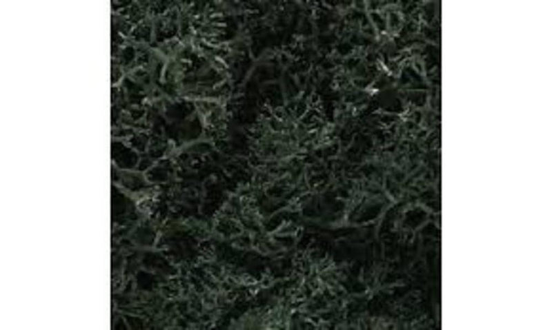 Woodland Scenics L168 LICHEN DARK GREEN MIX (8807576764653)