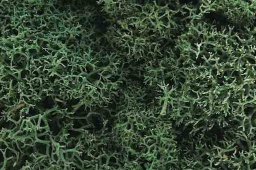 Woodland Scenics L162 LICHEN LIGHT GREEN - Hobby City NZ (7835042414829)