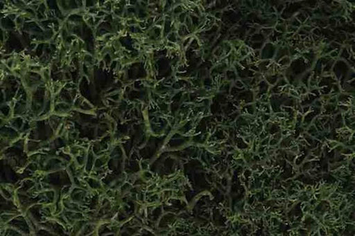 Woodland Scenics L163 LICHEN MEDIUM GREEN - Hobby City NZ (7540619116781)