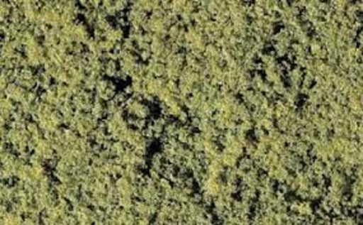 Woodland Scenics F52 MEDIUM GREEN (8807577452781)