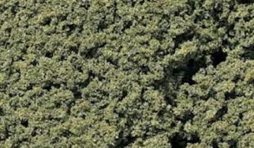 Woodland Scenics FC58 MEDIUM GREEN FOILAGE CLUSTERS (8807577747693)
