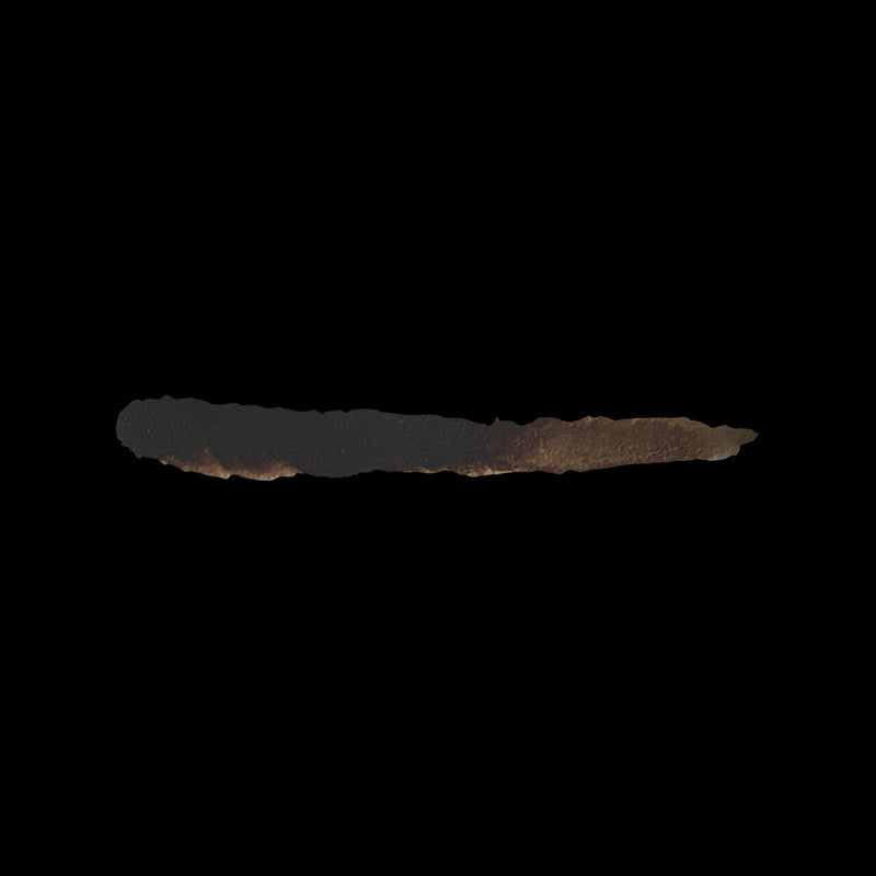 Scale 75 SART-38 Scalecolor Artist Burnt Umber 20ml