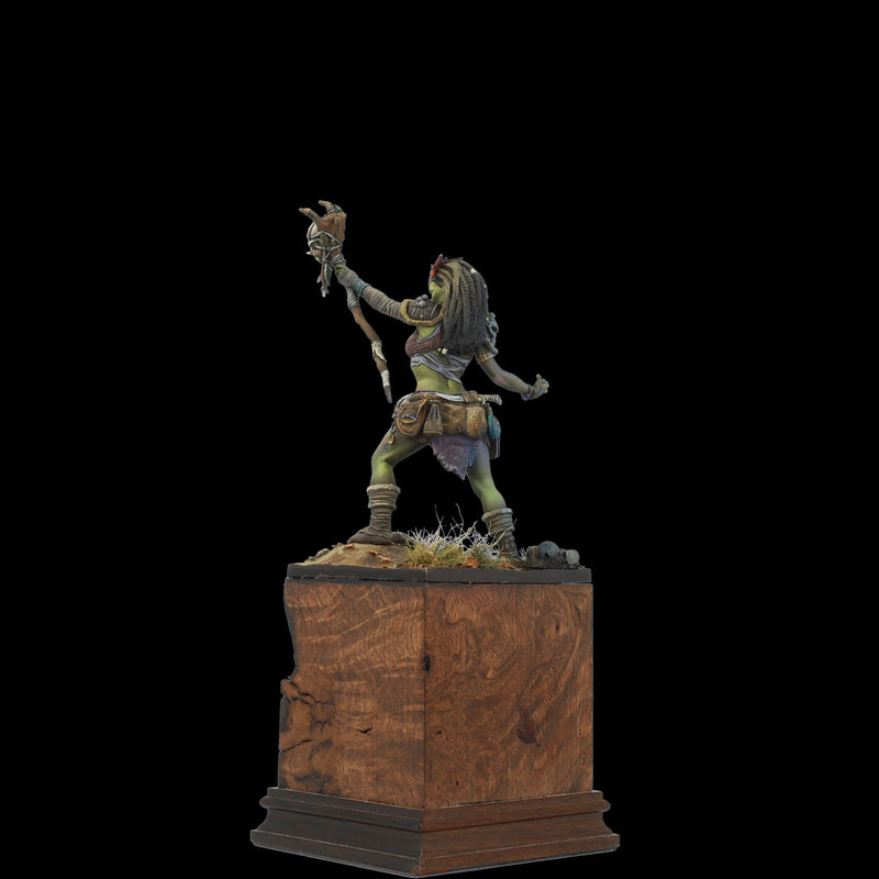 Scale 75 SCF-017 Figures Scale World Fantasy Aruh Ka The Shaman Orc 75mm