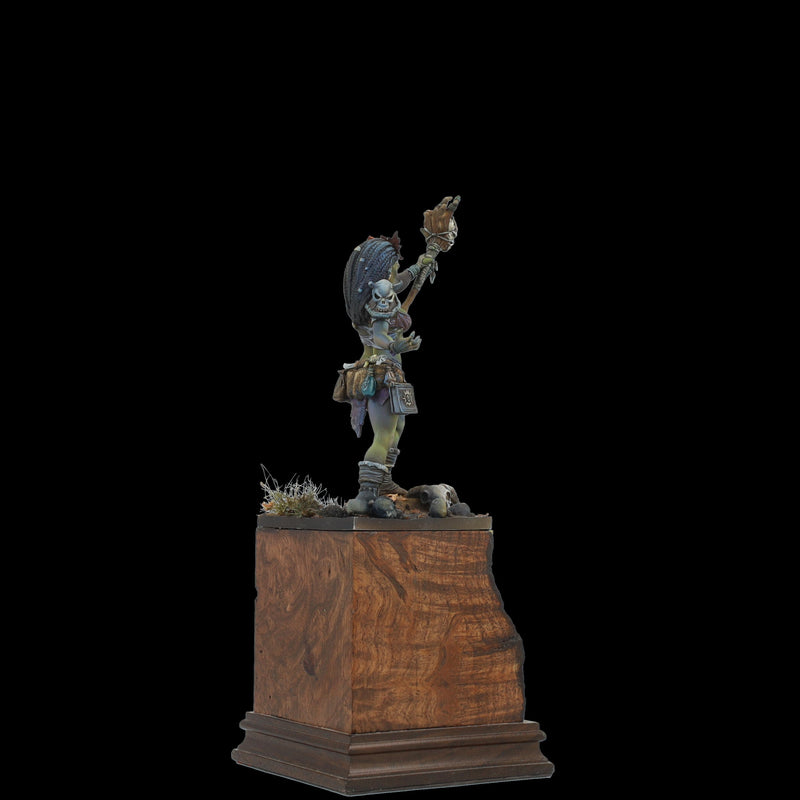 Scale 75 SCF-017 Figures Scale World Fantasy Aruh Ka The Shaman Orc 75mm