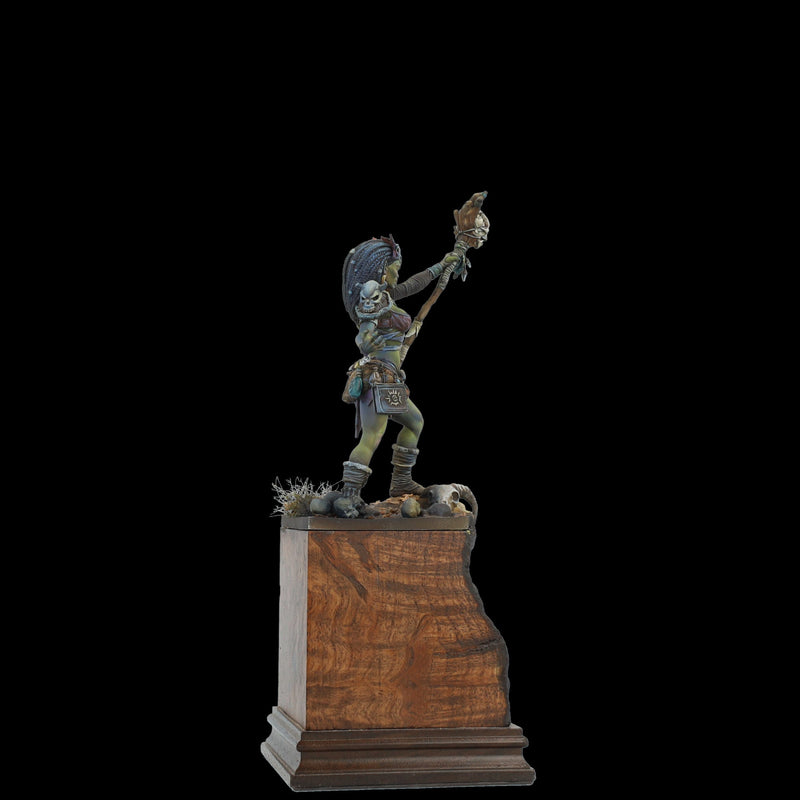 Scale 75 SCF-017 Figures Scale World Fantasy Aruh Ka The Shaman Orc 75mm