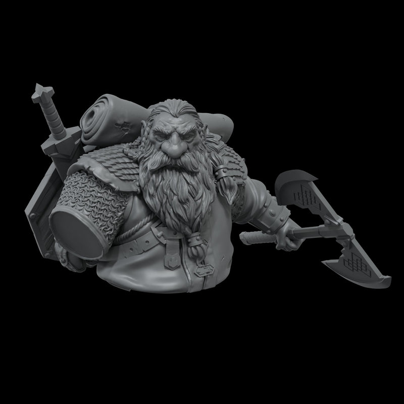 Scale 75 STCR-001 Busts The Chronicles of Run Broin The Dragon Hunter 1:12