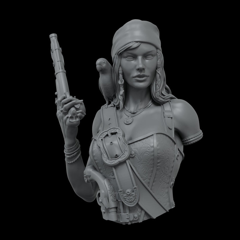 Scale 75 SNG-001 Busts Naughty Gears Mary Read 1:12