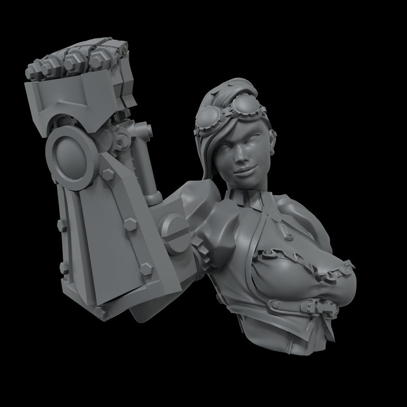 Scale 75 SNG-003 Busts Naughty Gears Nancy Steelpunch 1:12