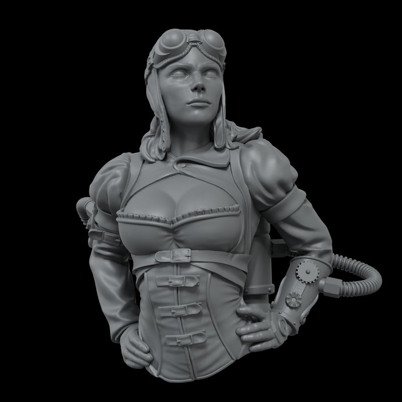 Scale 75 SNG-008 Busts Naughty Gears Captain Amelia Steam 1:12