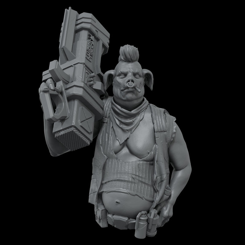 Scale 75 SSN-001 Busts New Age Scrappers Phigger 1:12