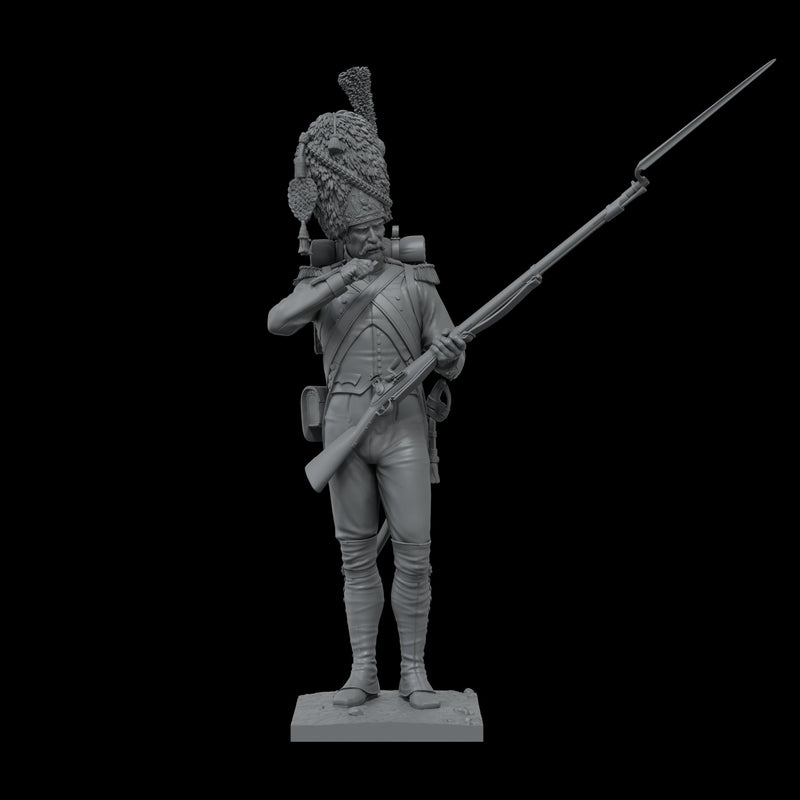 Scale 75 SNW-001 Figures Napoleonic Imperial Guard 75mm