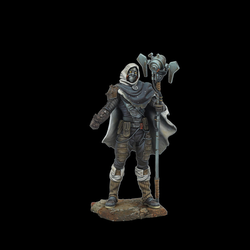 Scale 75 SDG-003 Figures Degensis Chronicler 75mm