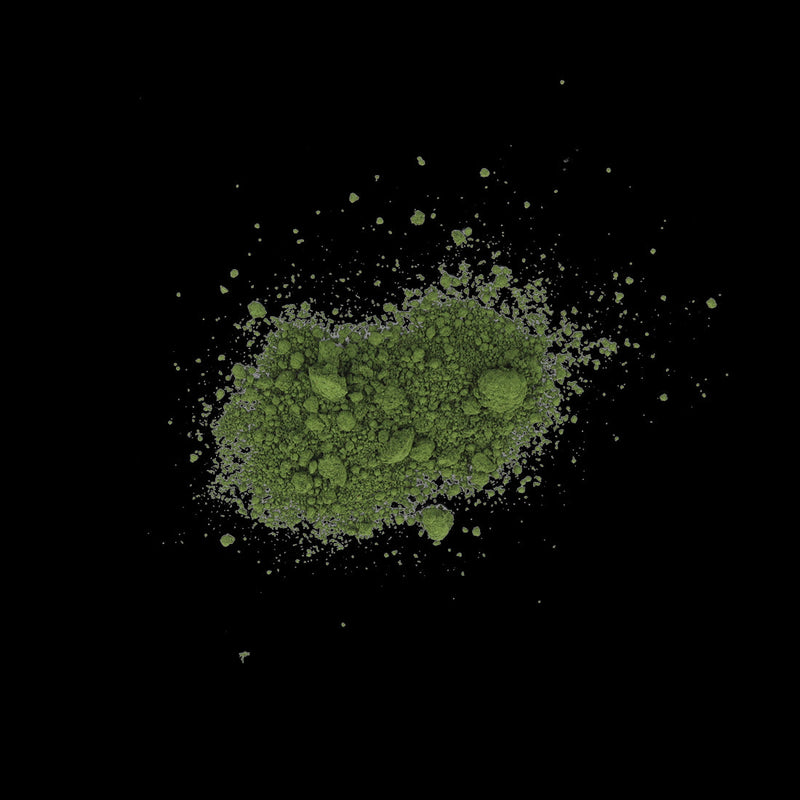 Scale 75 SPG-06 Soilworks Pigments Moss Green 35ml