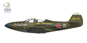 Arma Hobby 40011 1/48 P-39N Airacobra - Hobby City NZ (8964707483885)