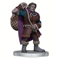 WizKids Critical Role Monsters of Wildemount Kryn Dynasty & Xhorhas Box Set Prepainted Miniatures