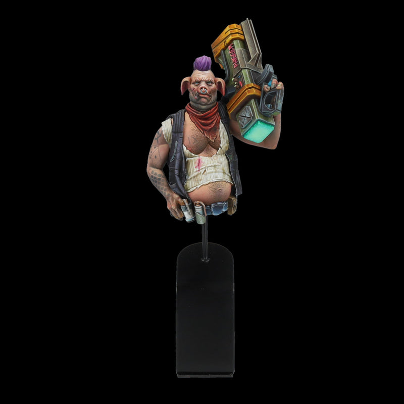 Scale 75 SSN-001 Busts New Age Scrappers Phigger 1:12