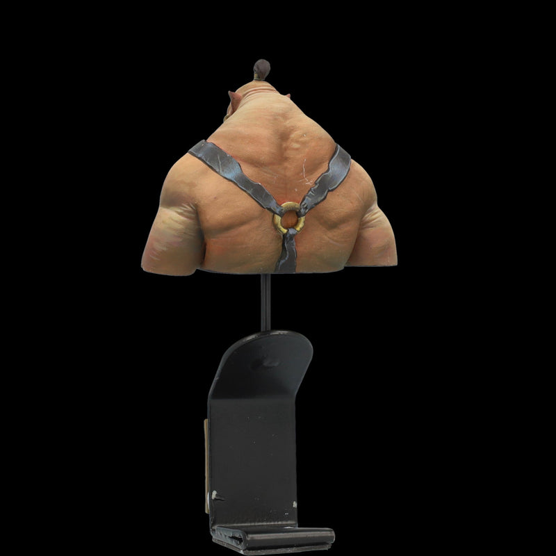 Scale 75 STCR-004 Busts The Chronicles of Run Bort The Iron Butcher 1:12