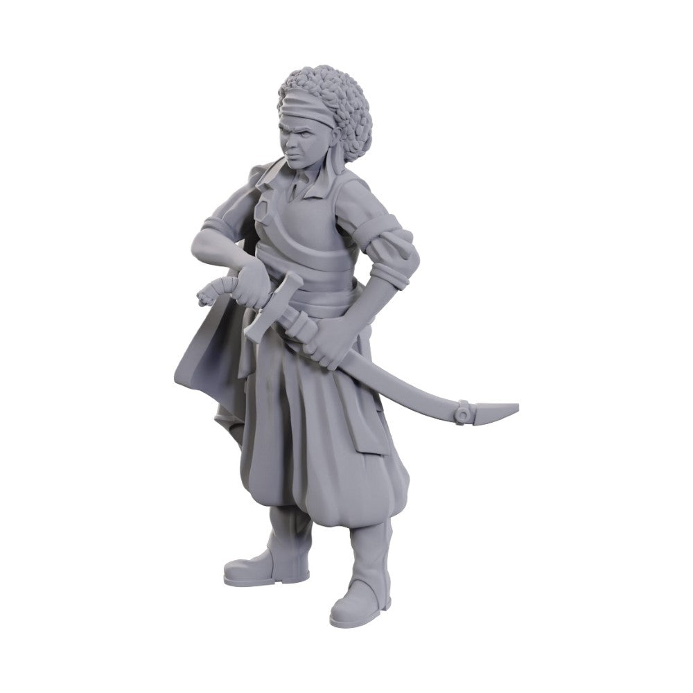 WizKids D&D Nolzur's Marvelous Miniatures: Ansalon Human Rogue - WZK90110