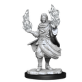 WizKids Critical Role Unpainted Miniatures Hollow One Rogue and Sorceror Male - WZK90380
