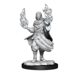 WizKids Critical Role Unpainted Miniatures Hollow One Rogue and Sorceror Male - WZK90380