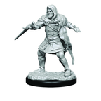 WizKids Critical Role Unpainted Miniatures Hollow One Rogue and Sorceror Male - WZK90380