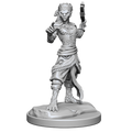 WizKids D&D Nolzurs Marvelous Miniatures Shifter Fighter - WZK90407