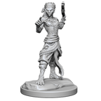 WizKids D&D Nolzurs Marvelous Miniatures Shifter Fighter - WZK90407
