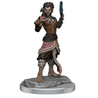 WizKids D&D Nolzurs Marvelous Miniatures Shifter Fighter - WZK90407